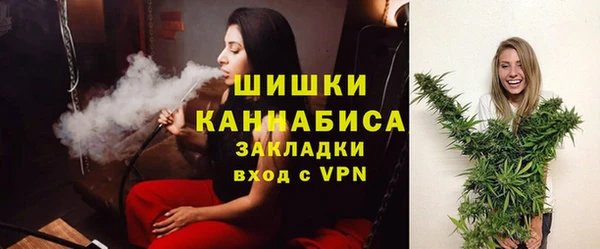 спайс Арсеньев