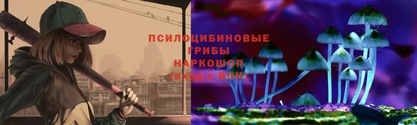 спайс Арсеньев