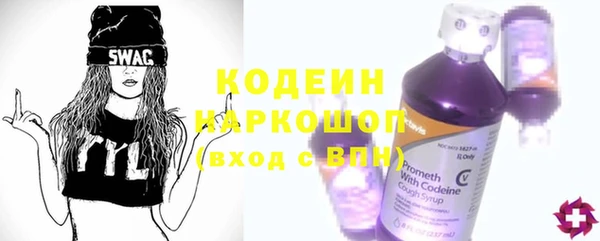 хмурый Аркадак