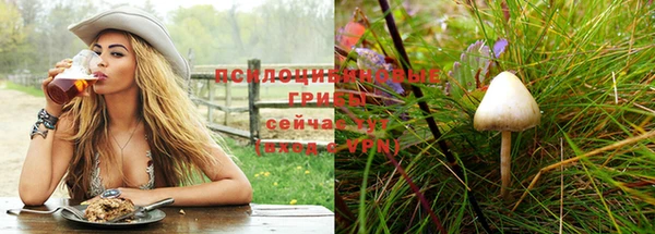 амф Сатка