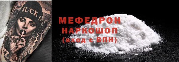 хмурый Аркадак
